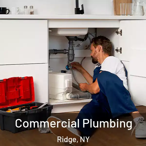  Commercial Plumbing Ridge, NY