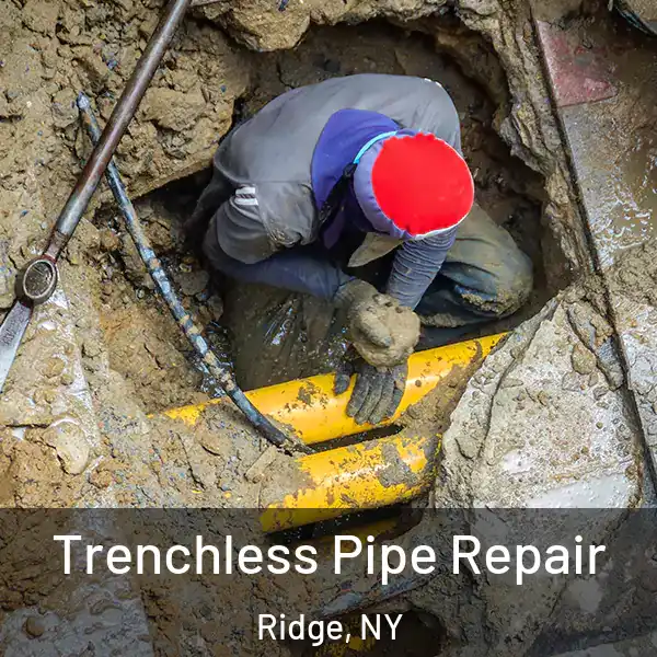  Trenchless Pipe Repair Ridge, NY